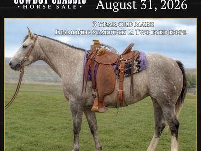 3 Year Old Kind And Athletic AQHA Mare