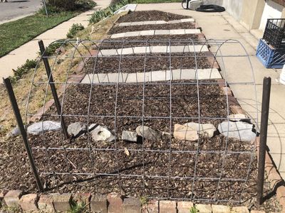 Graden Trellis 8ft by 4ft