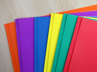 Case of 125, Two Pocket Portfolio Folders - New