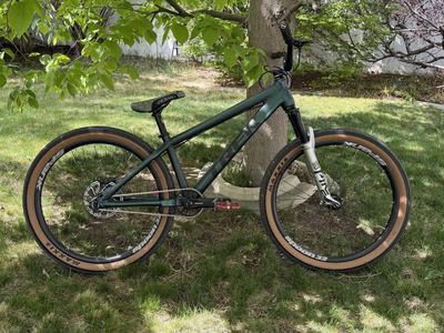 2021 Trek Ticket DJ Custom