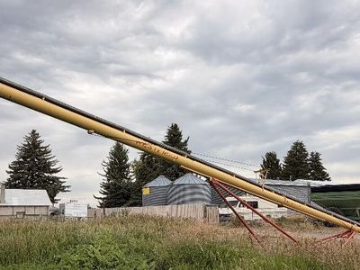 Westfield Grain Auger - Used Farm Equipment