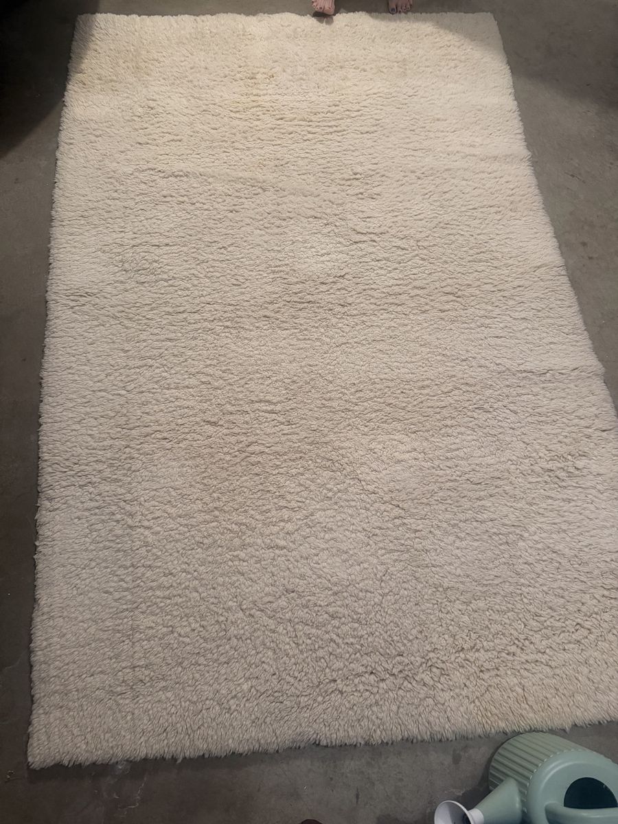 Soft shaggy cream area rug.