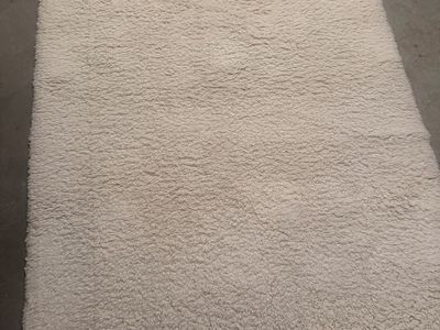 Soft shaggy cream area rug.