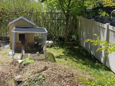Chicken Coop and Feeders