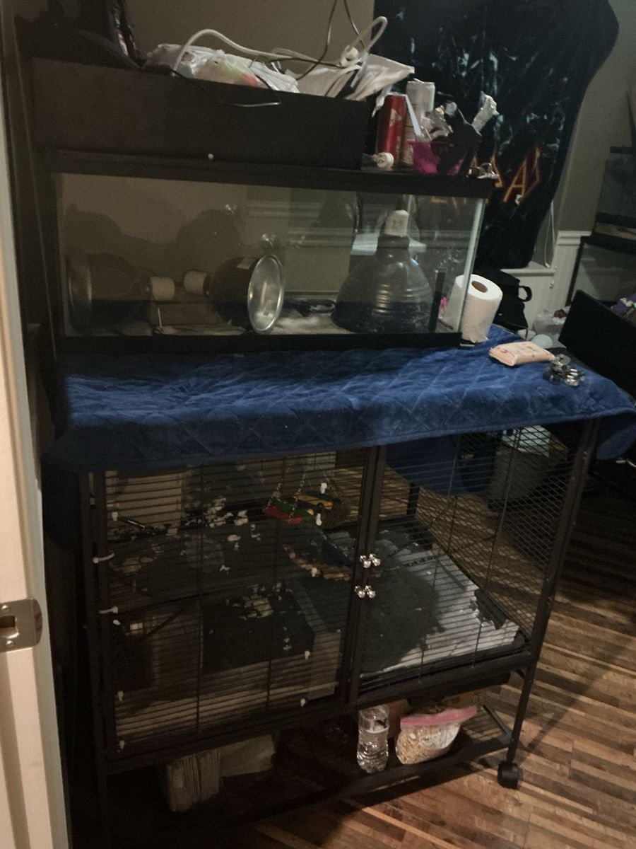 Moving out !