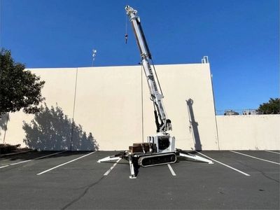 Tracked Spider Crane Rental