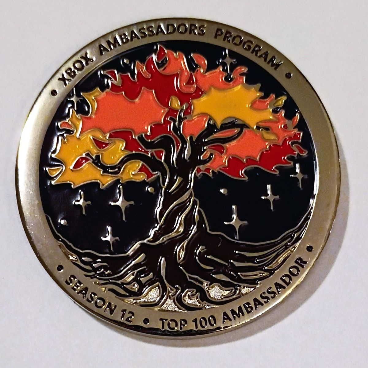 Rare Xbox Ambassador Collector Challenge Coins