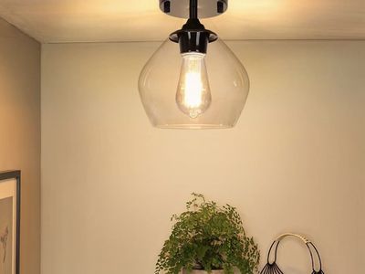 ( New in Box ) Vintage Looking Elegant Modern Matte Black Semi-Flush Mount Glass Globe Ceiling Light