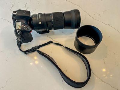 Nikon D800 + Sigma 150-600mm f/5-6.3 DG OS HSM Lens (Nikon mount)