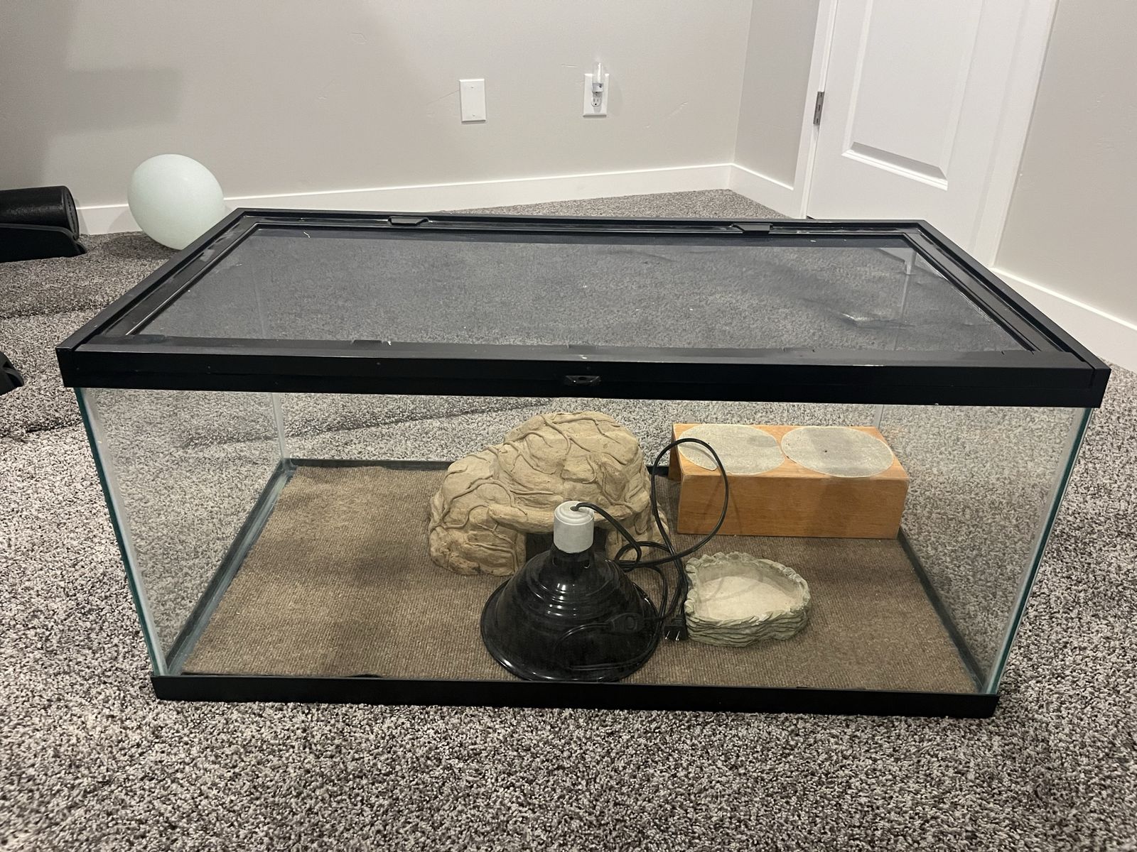 55 gallon reptile tank