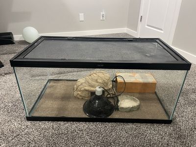 55 gallon reptile tank