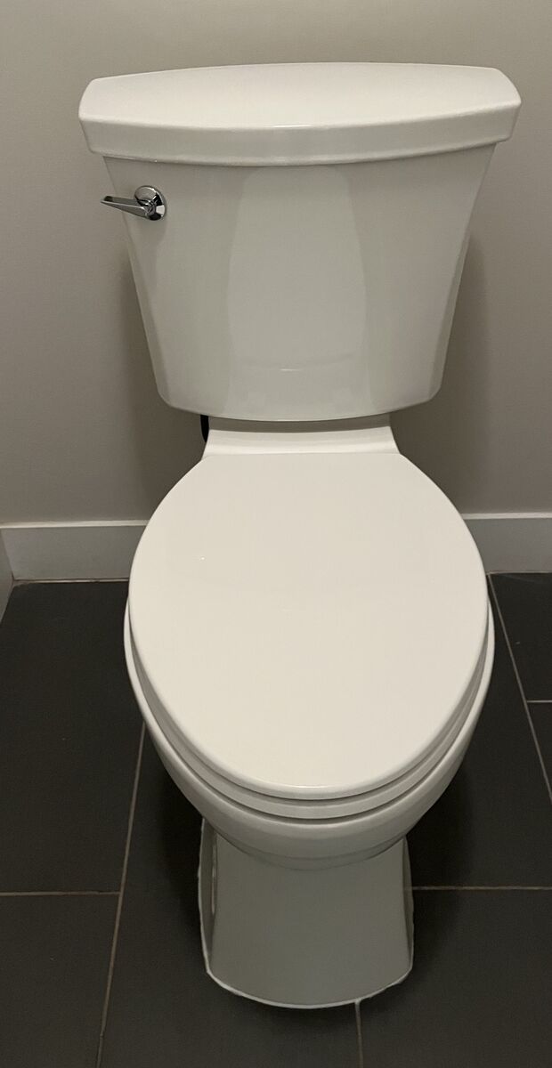 KOHLER Elliston 19-inch (tall) elongated, white toilet (ADA compliant)