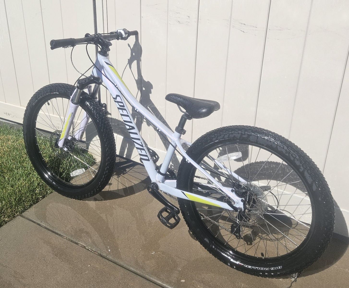 Youth Mountain Bike (Big Tire)