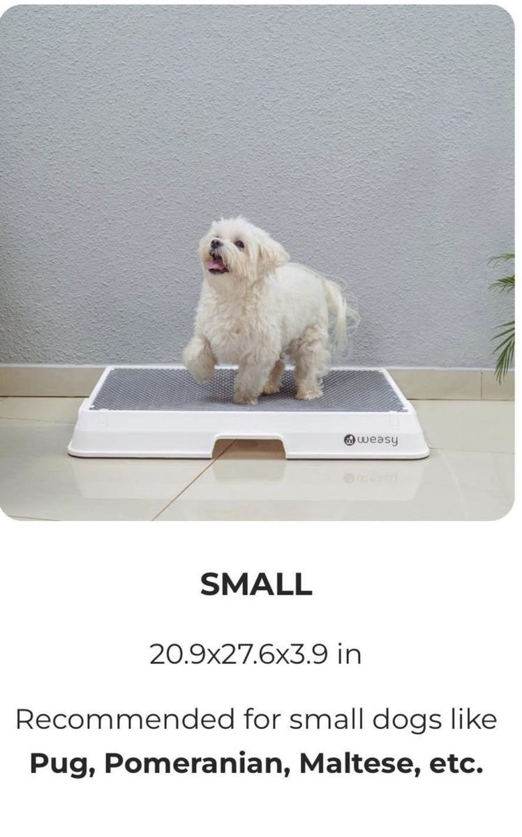 Weasy Smart Pet Dog Potty Tray Small White