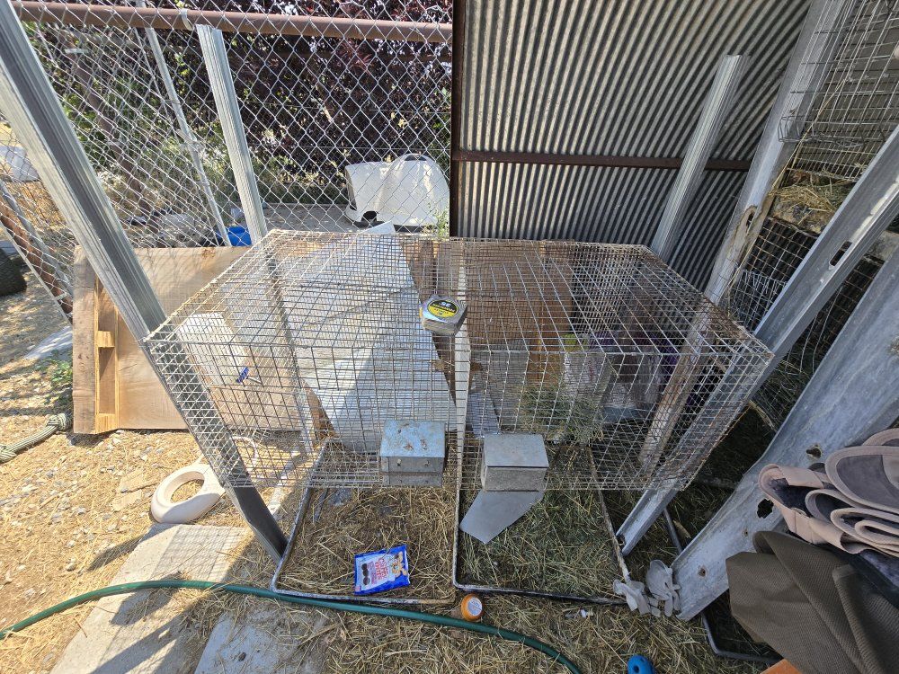 rabbit cages