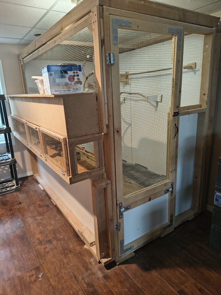 cockatiel budgie breeding aviary