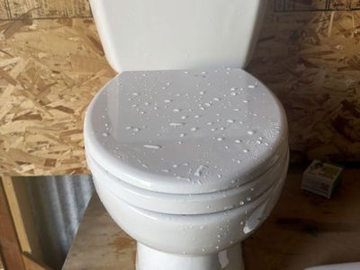 Toto elongated toilet