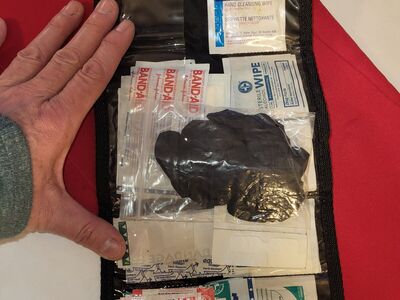 Travel First Aid Kit