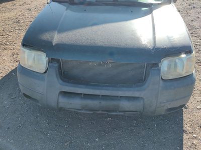 2003 Ford escape blown motor