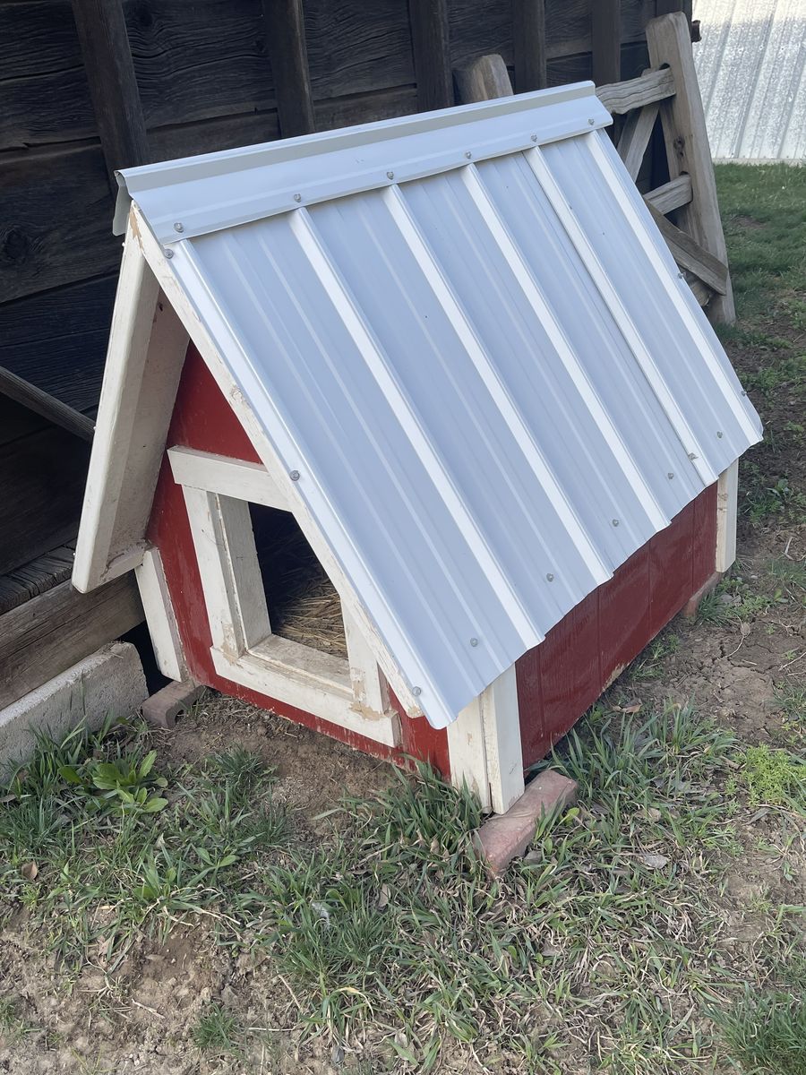 Outdoor Dog House