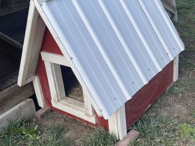 Outdoor Dog House