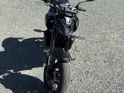 2025 MT-07
