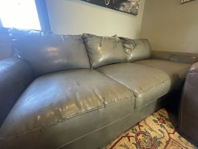 Free Couch