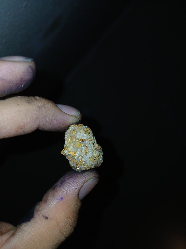 Natural Gold Ore Specimen in Quartz Matrix