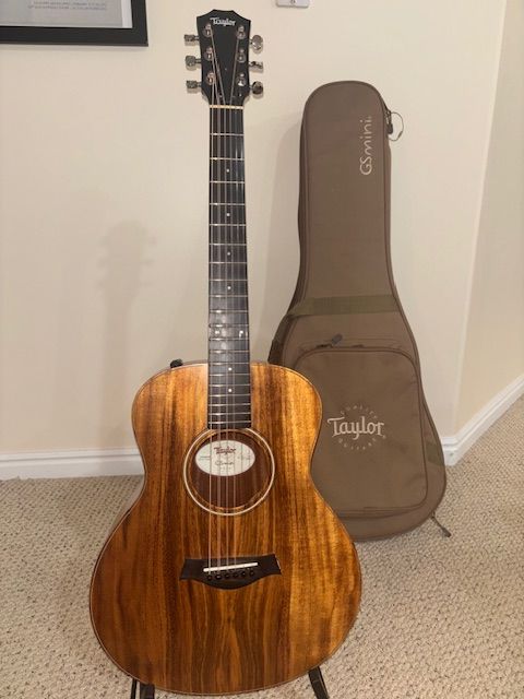 Taylor GS Mini Acustic Guitar
