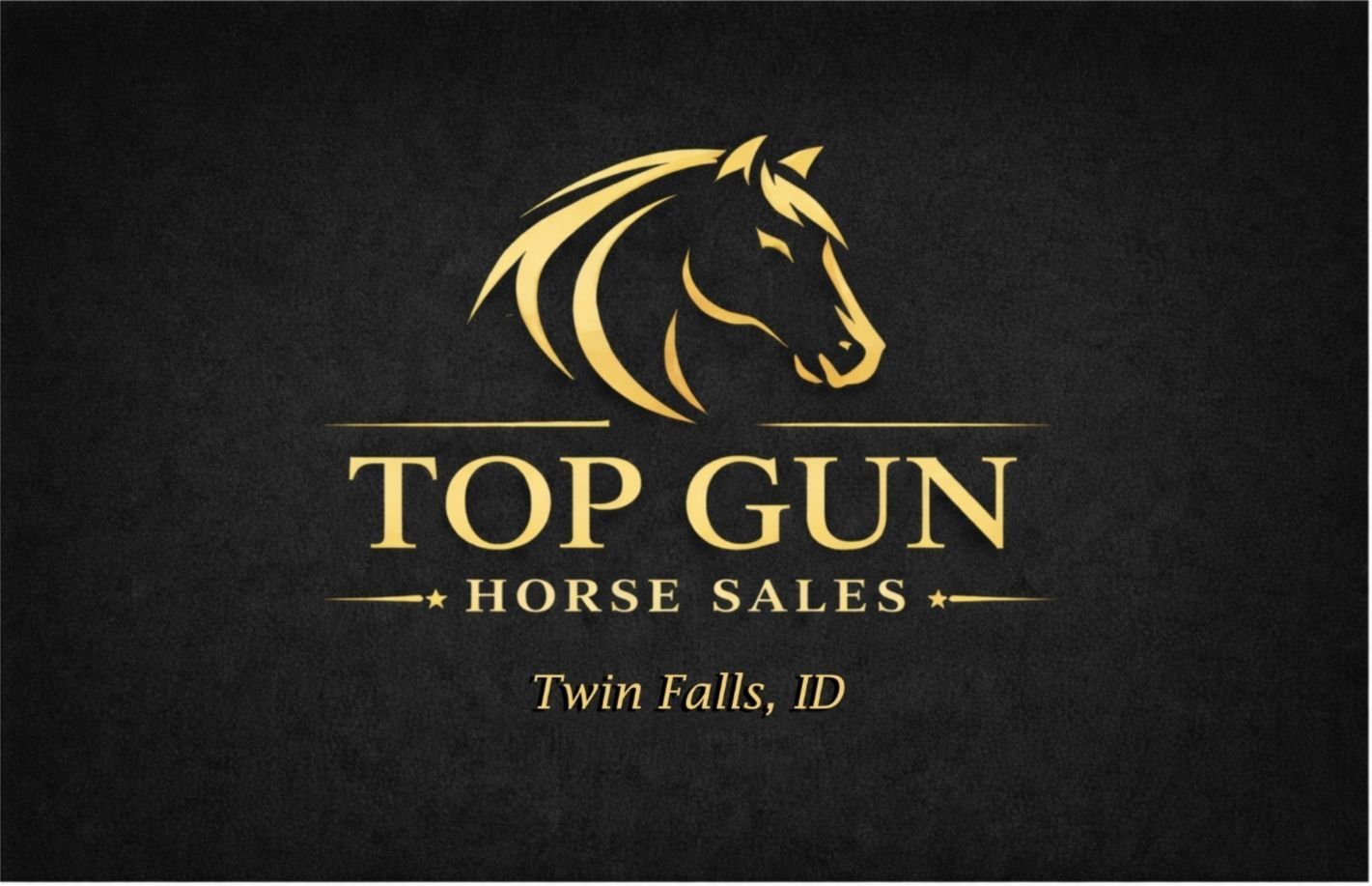 Top Gun Horse Sale! Come On Down!