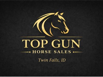 Top Gun Horse Sale! Come On Down!