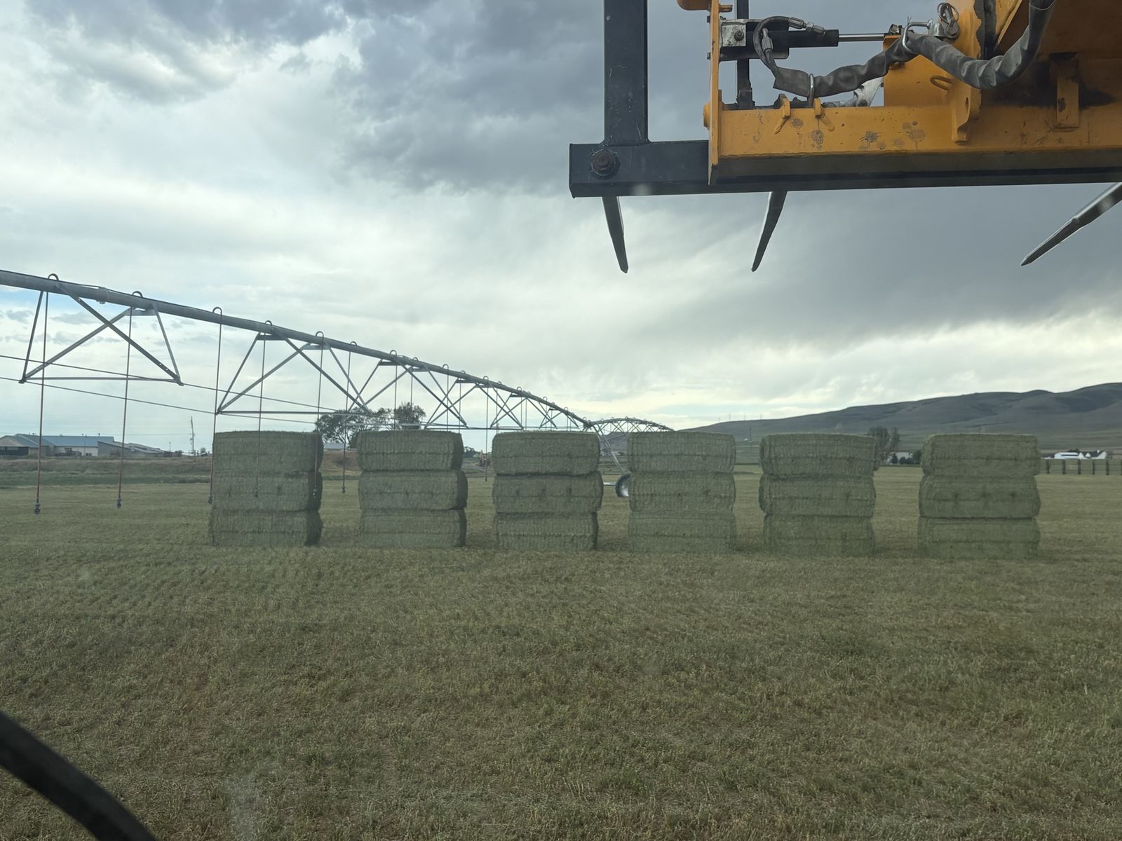 3x3 Alfalfa Bales