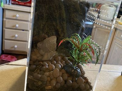 Magnetic acrylic cage