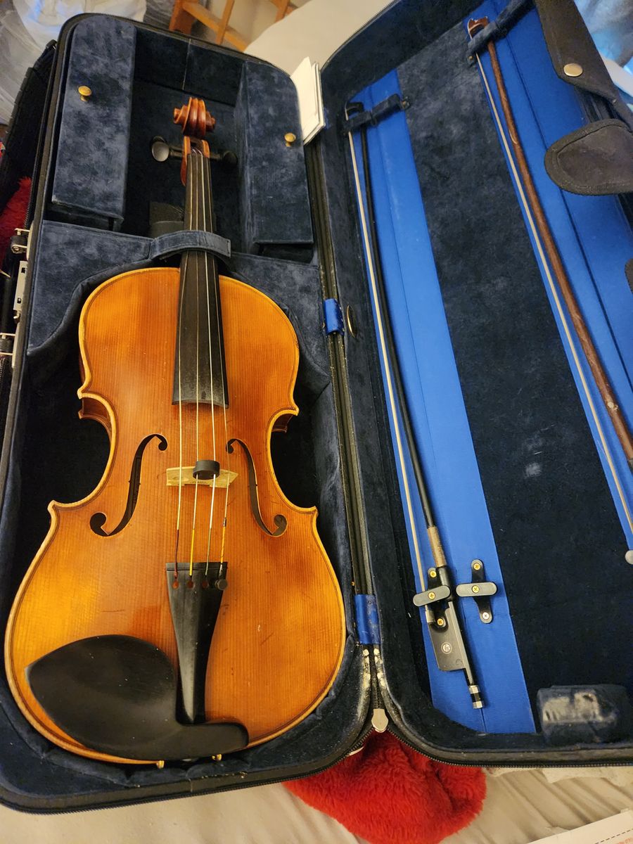 Viola