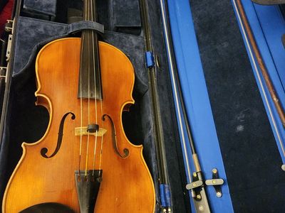 Viola