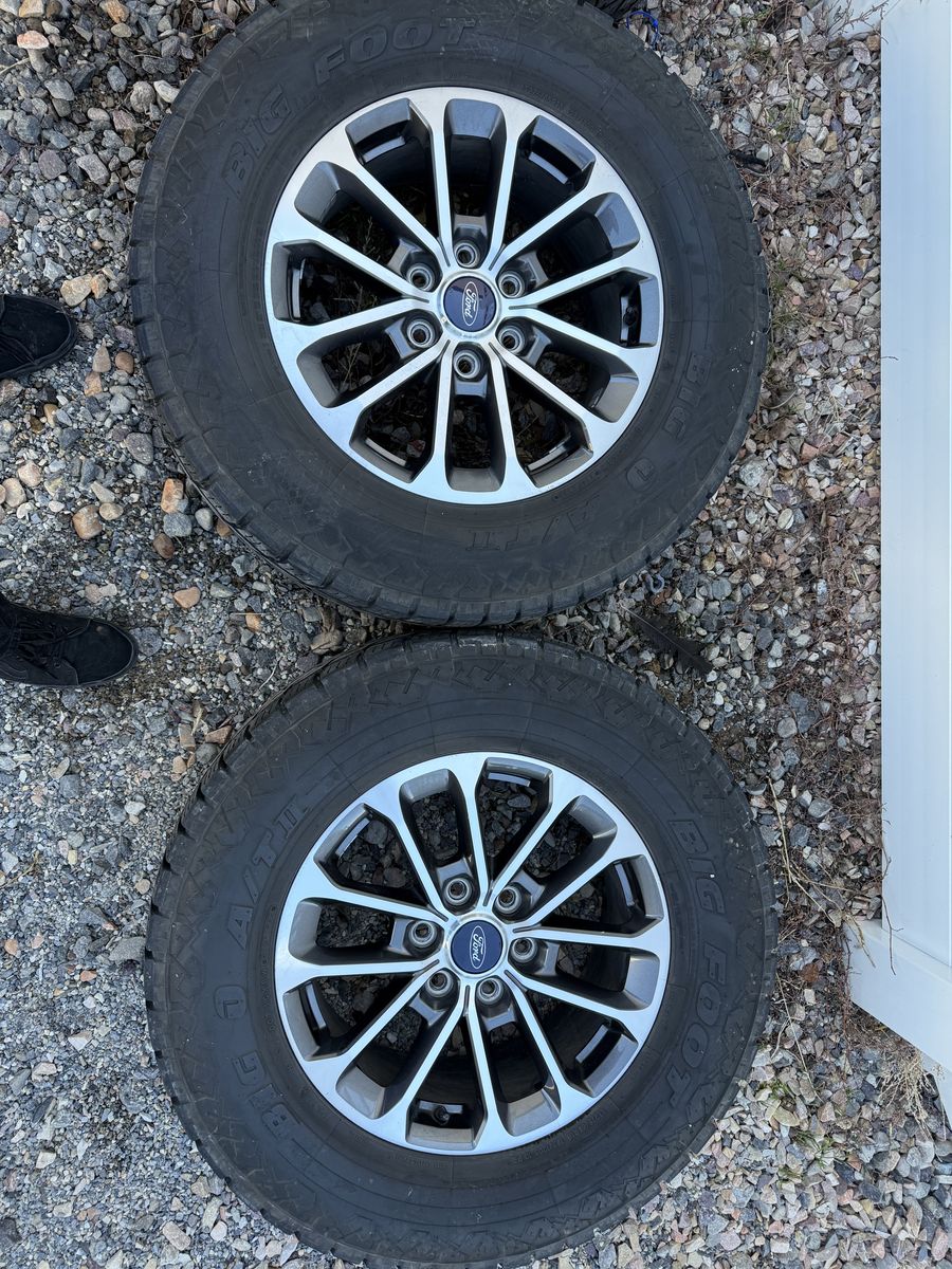 Ford F-150 18in Stocks