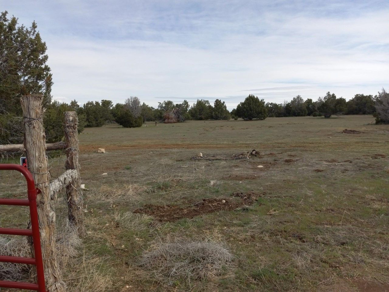 Main image 5
