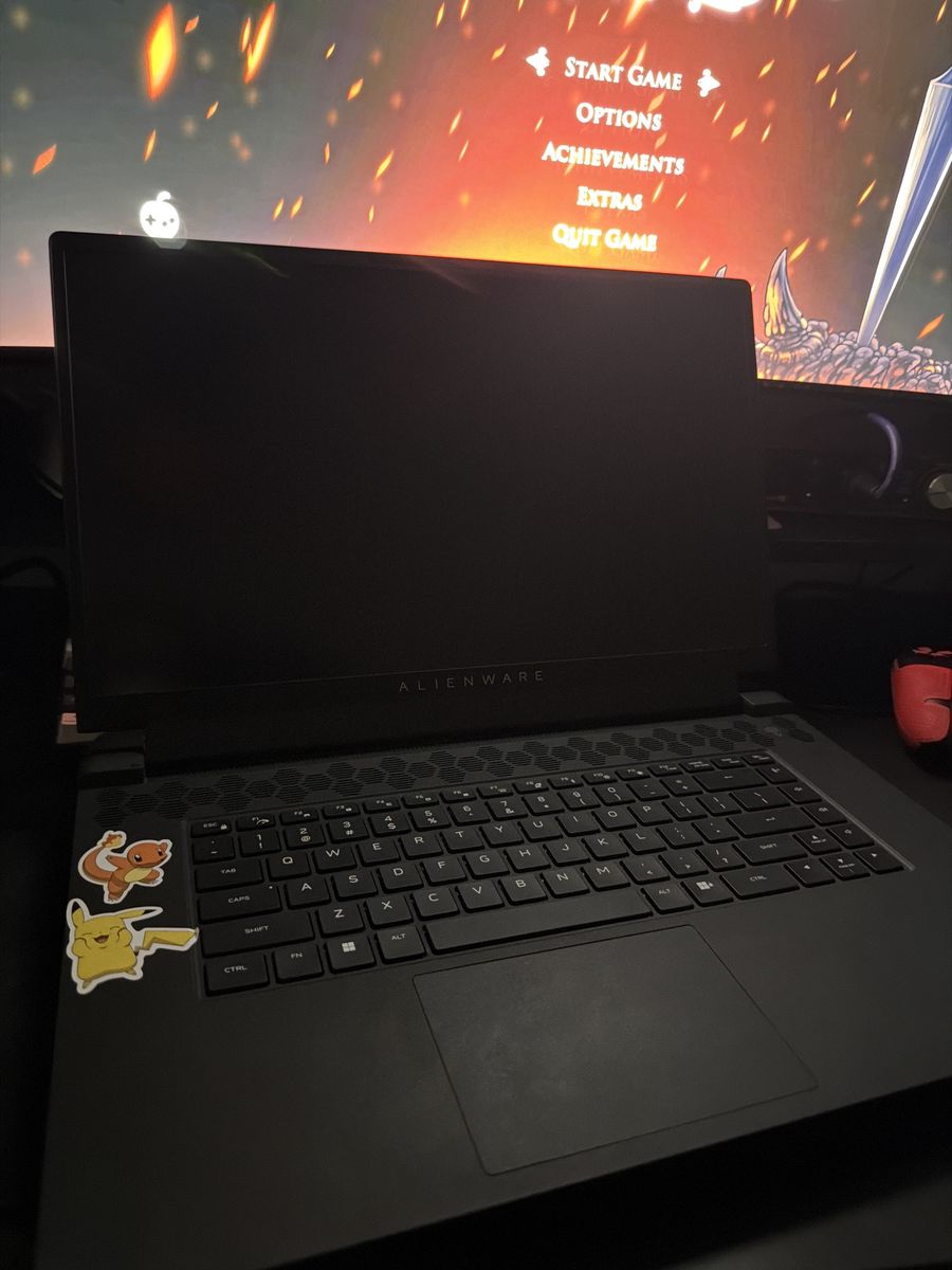 Mint Laptop (Alienware M17 AMD R5)