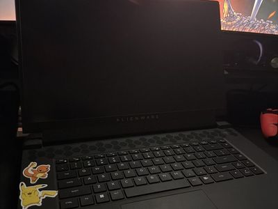 Mint Laptop (Alienware M17 AMD R5)