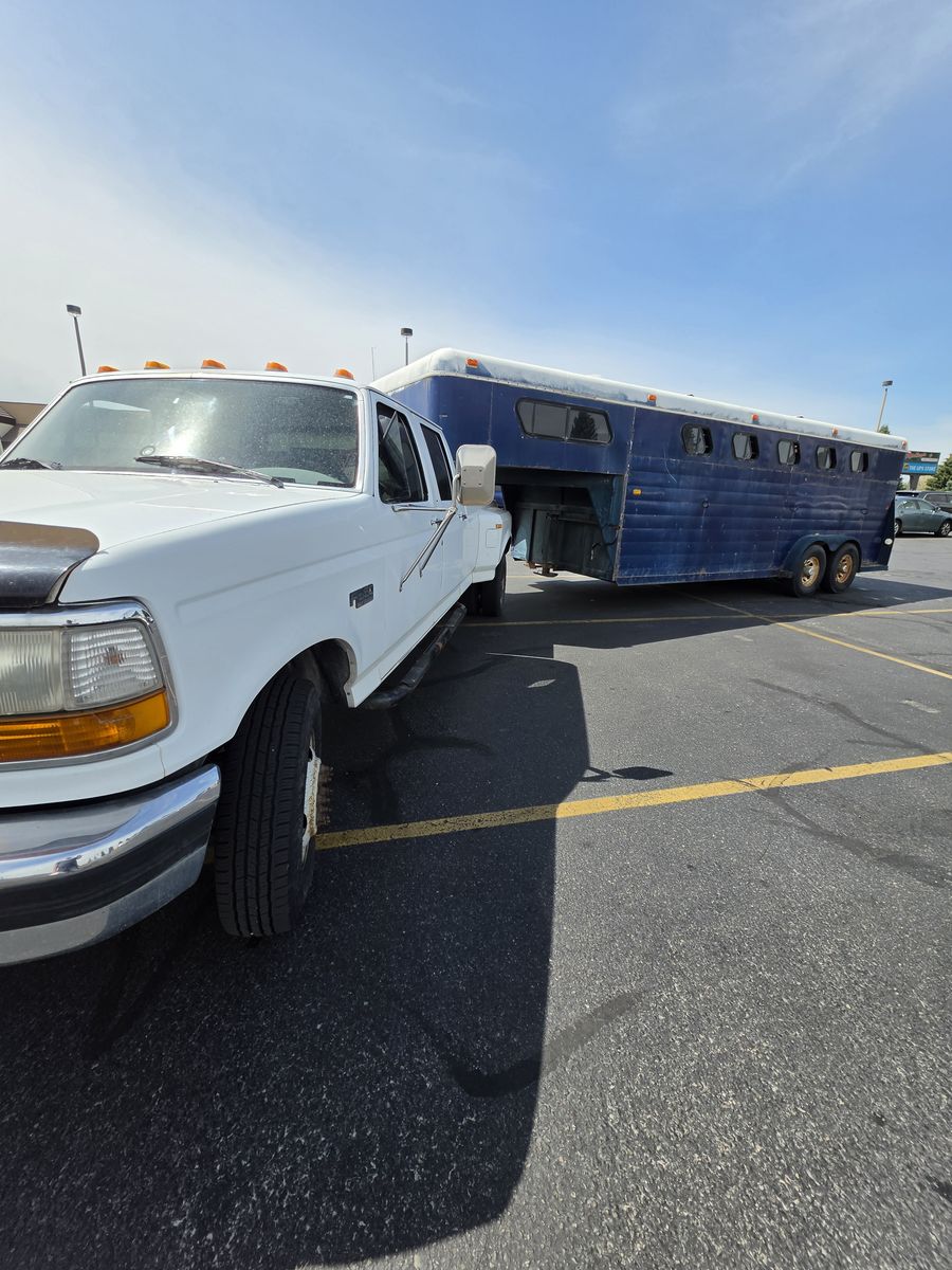 5 Horse trailer