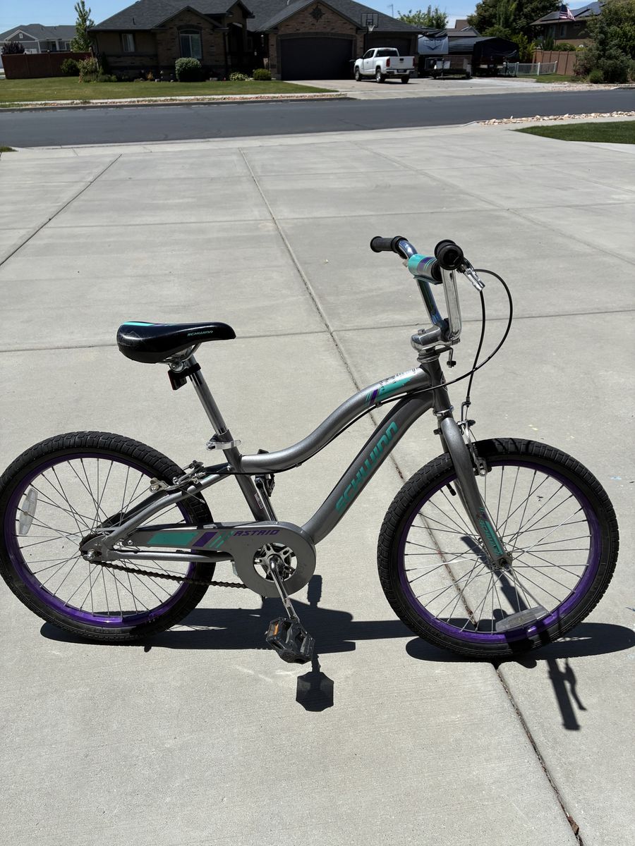 20” Scheinn bike