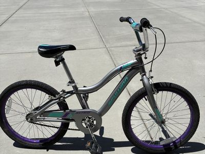 20” Scheinn bike