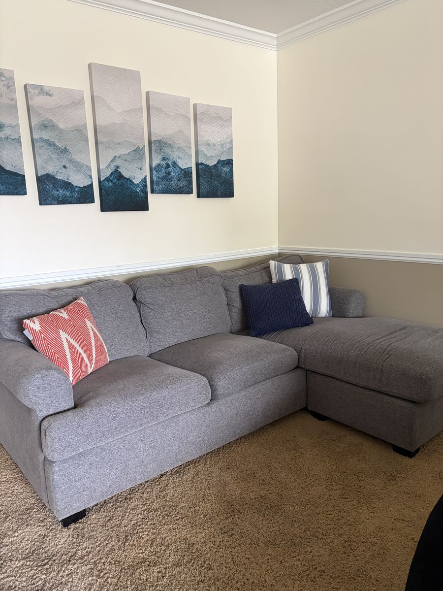 Gray pull out bed couch