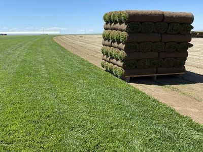 Sod Delivery - Kentucky Bluegrass - Sod Install