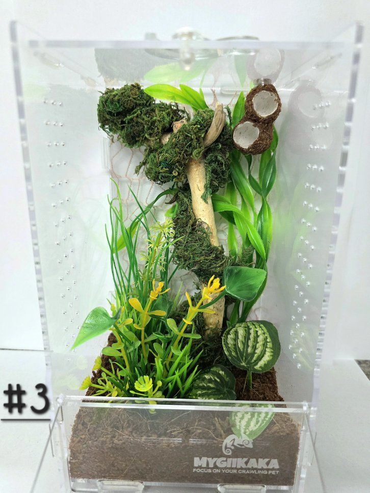 Main image 3