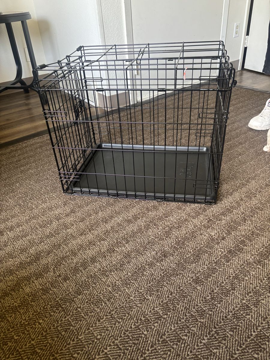 Dog kennel