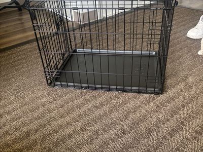 Dog kennel