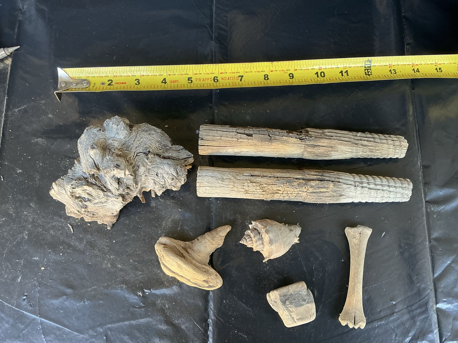Assorted Beachcomber Finds: Driftwood, Seashell, Bone - Unique Coastal Decor & Craft Lot