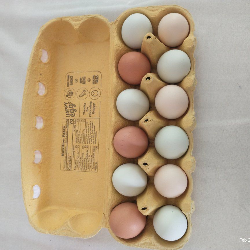 Farm Fresh Eggs