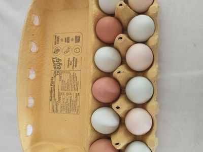 Farm Fresh Eggs